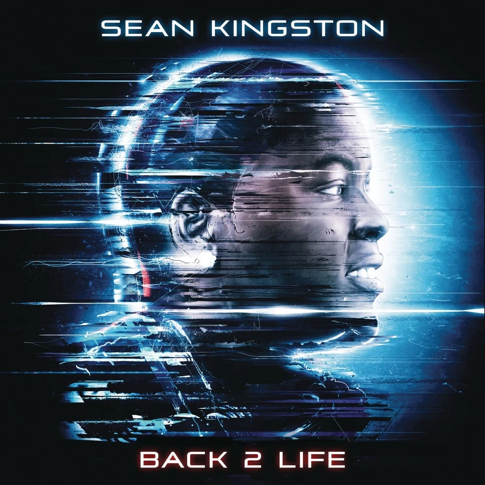 Beat It (feat. Chris Brown & Wiz Khalifa) by Sean Kingston